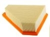 Air Filter:9T1Z-9601-A