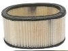 Filtro de aire Air Filter:25043556